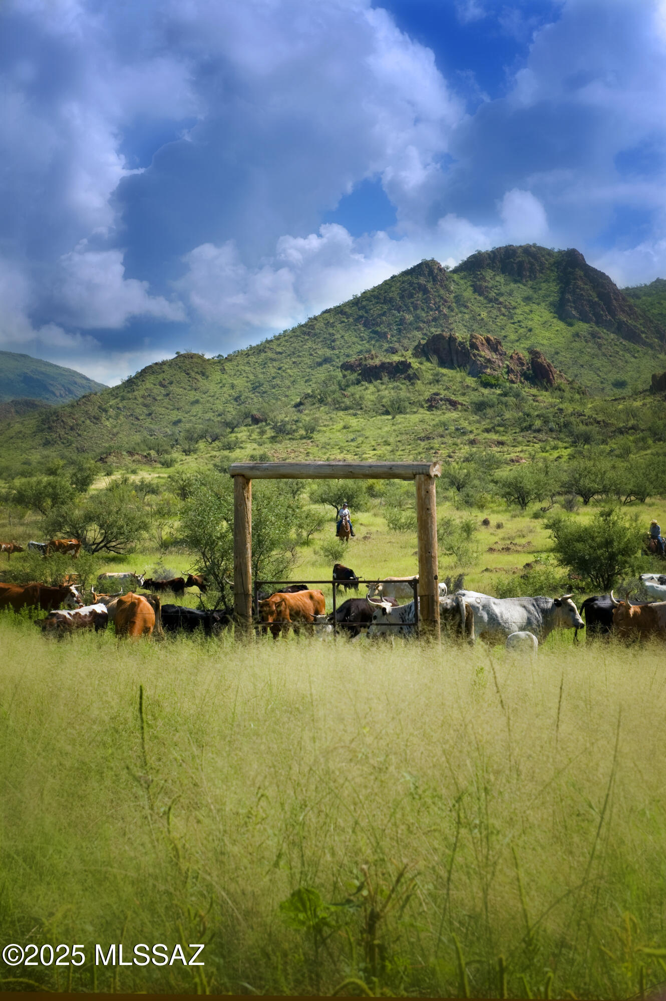 Morning Star Ranch - Residential
