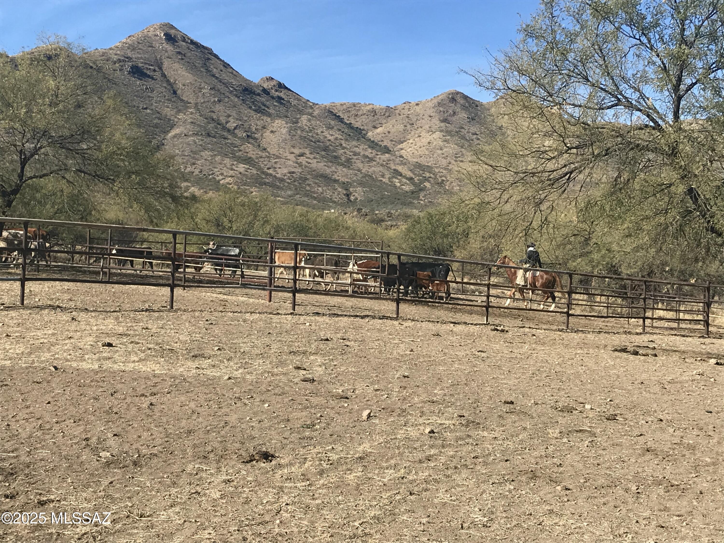 Morning Star Ranch - Residential