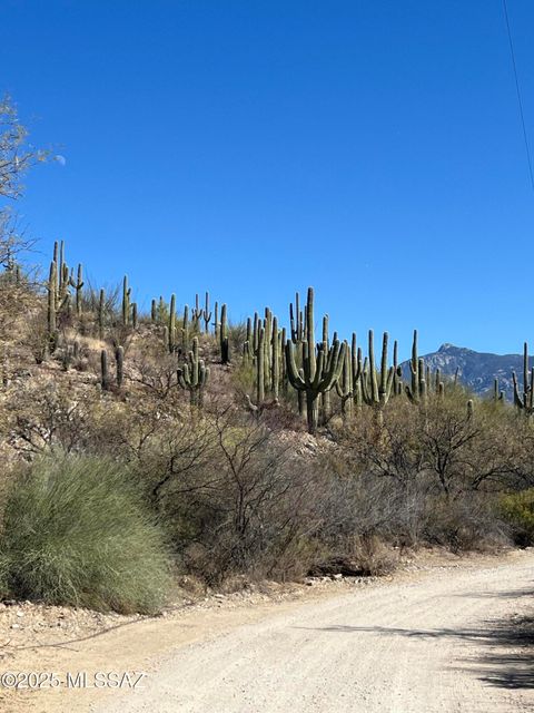 15175 E Rincon Creek Ranch Road Tucson AZ 85747