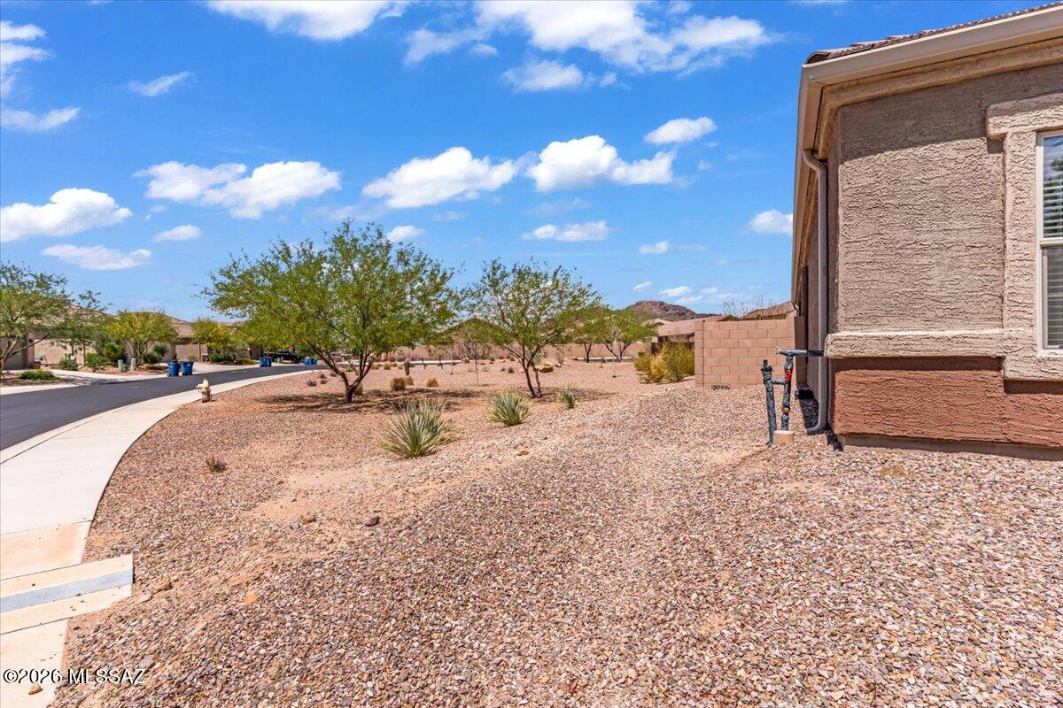 Saguaro Bloom 7A - Residential