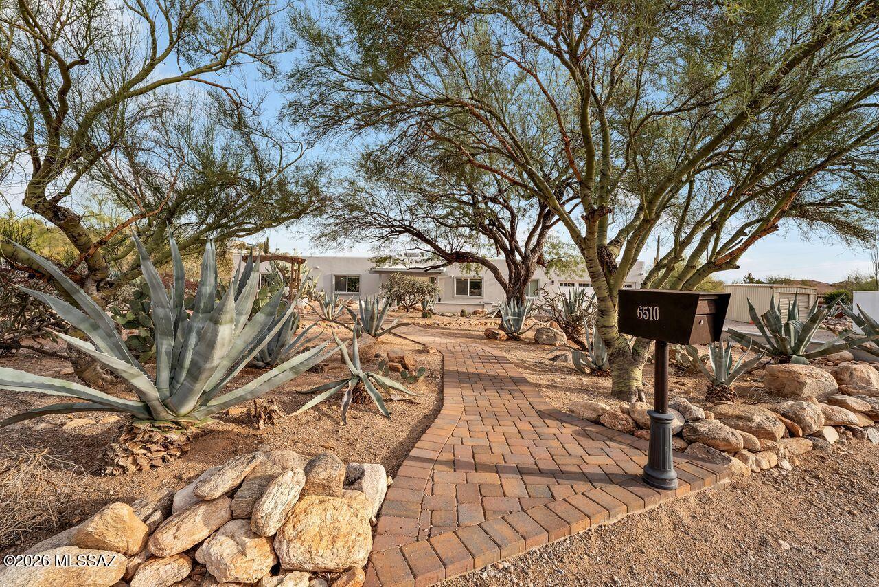 Coronado Foothills Estates - Residential