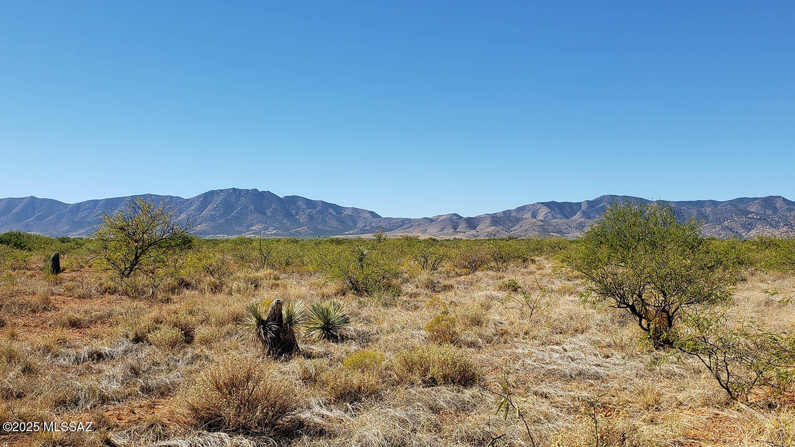 1 Lot W Arbor Street 5