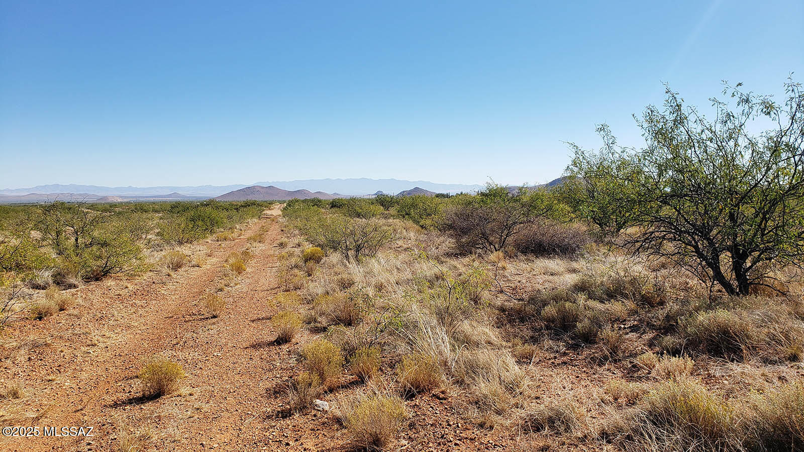 1 Lot W Arbor Street 5