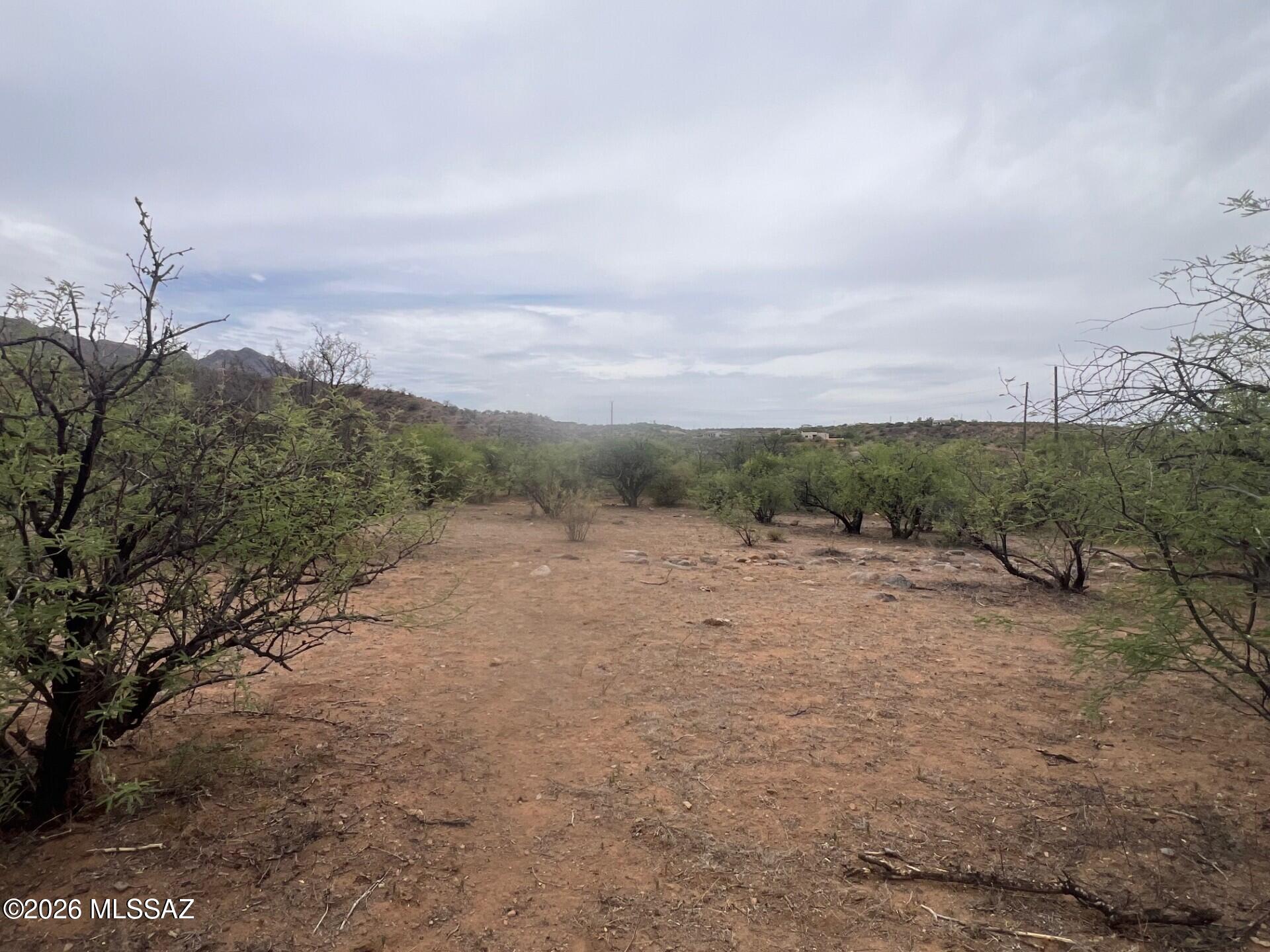 Rio Rico Estates 16 - Land