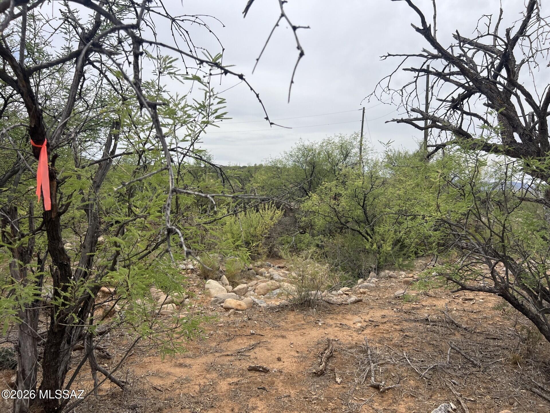 Rio Rico Estates 16 - Land