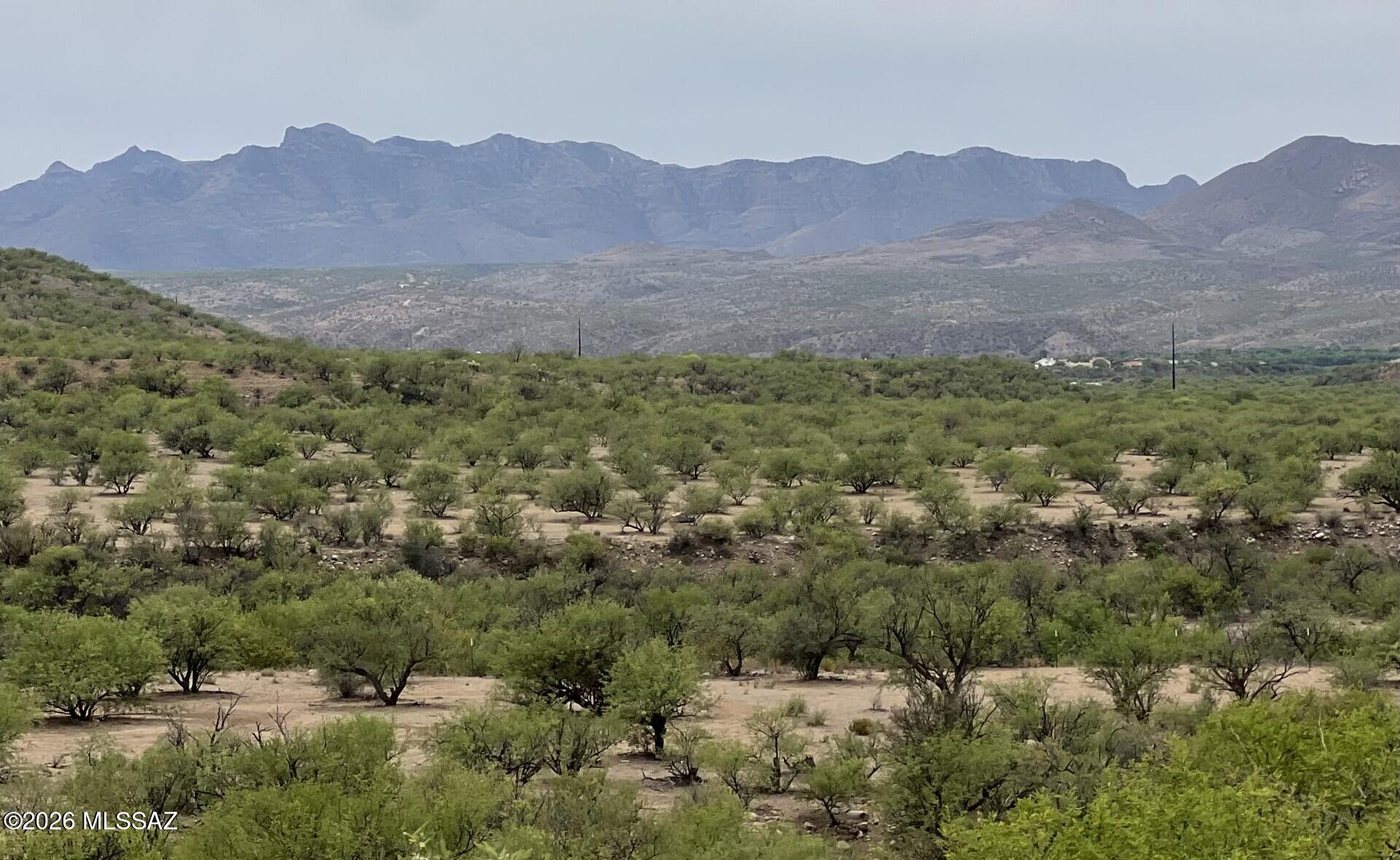 Rio Rico Estates 16 - Land