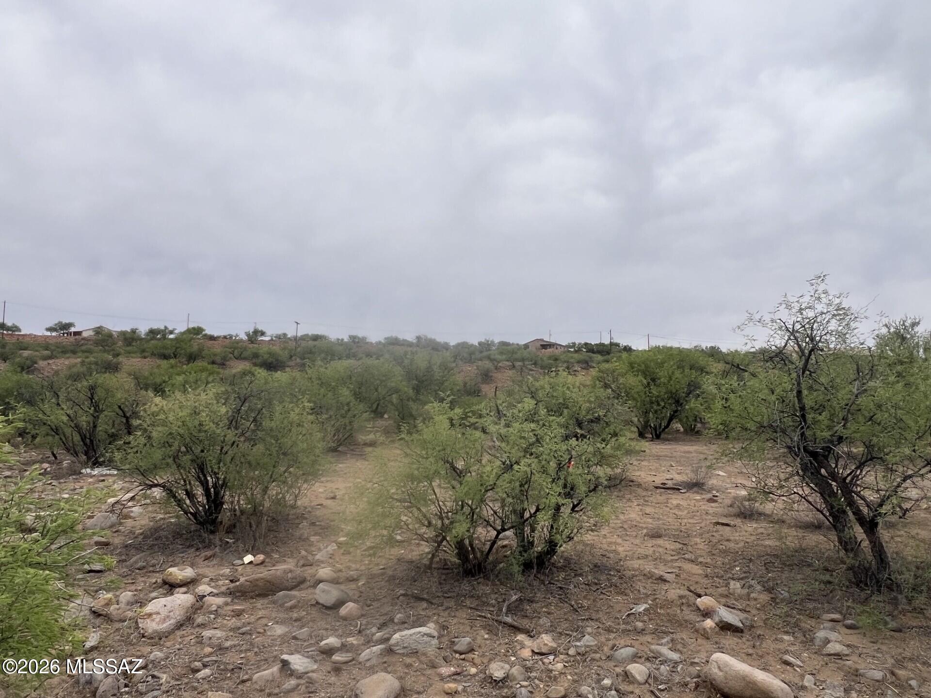 Rio Rico Estates 16 - Land