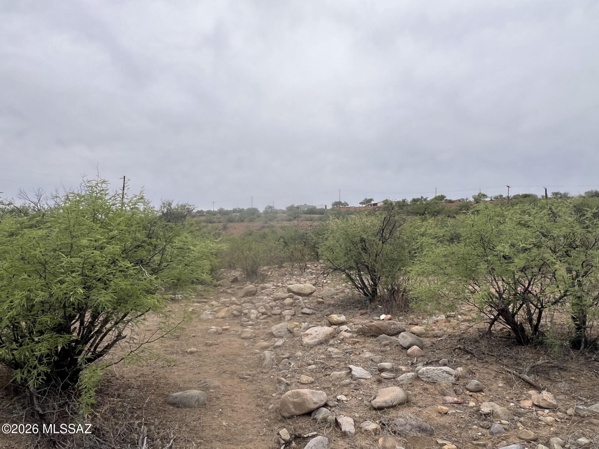 Rio Rico Estates 16 - Land