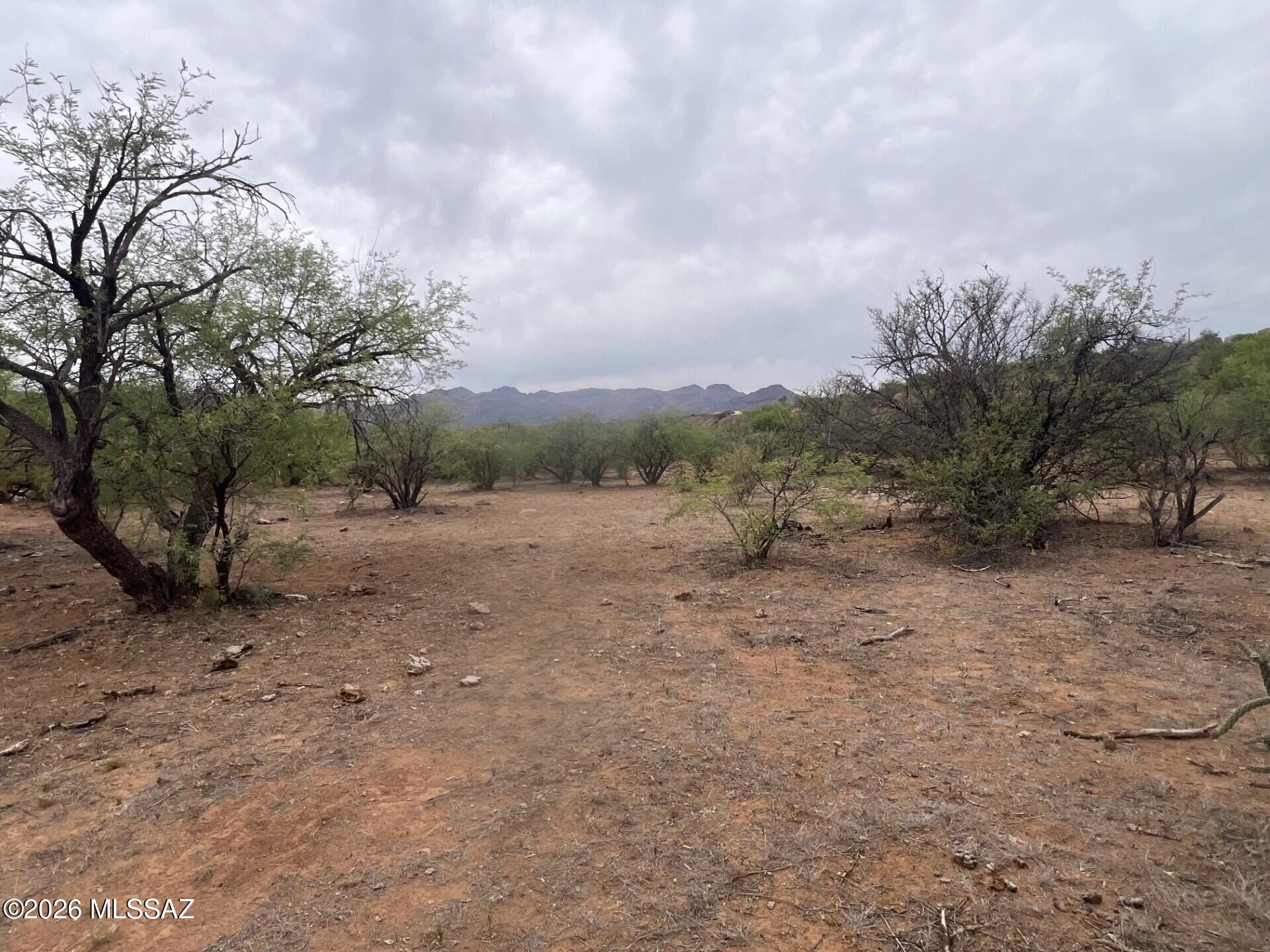 Rio Rico Estates 16 - Land
