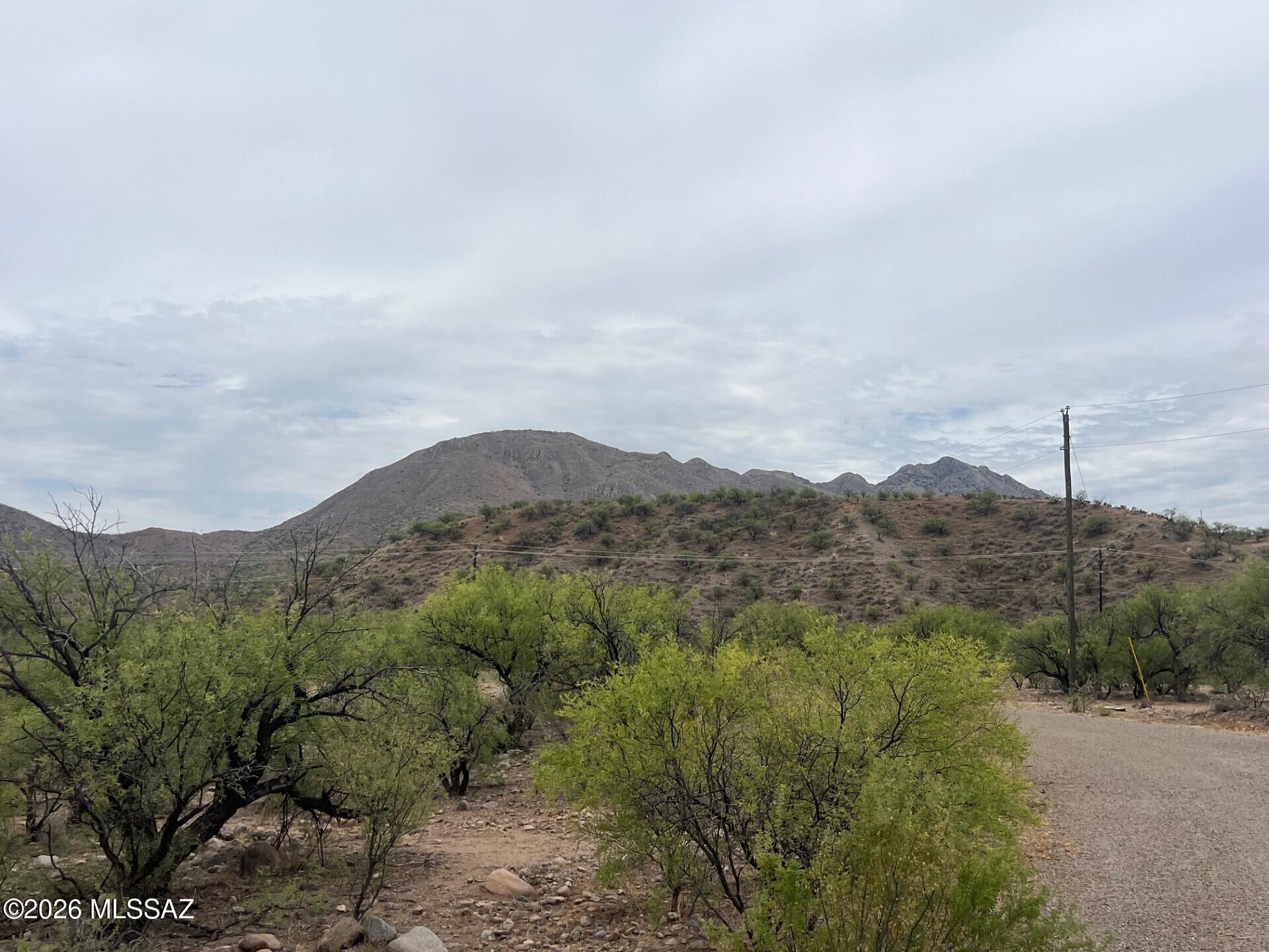 Rio Rico Estates 16 - Land