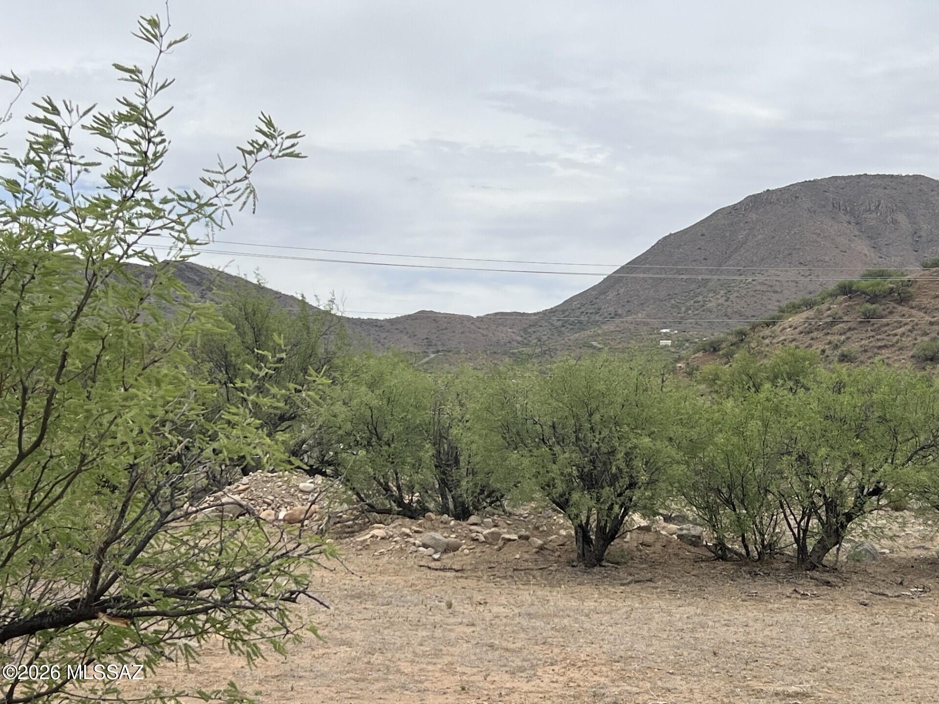 Rio Rico Estates 16 - Land