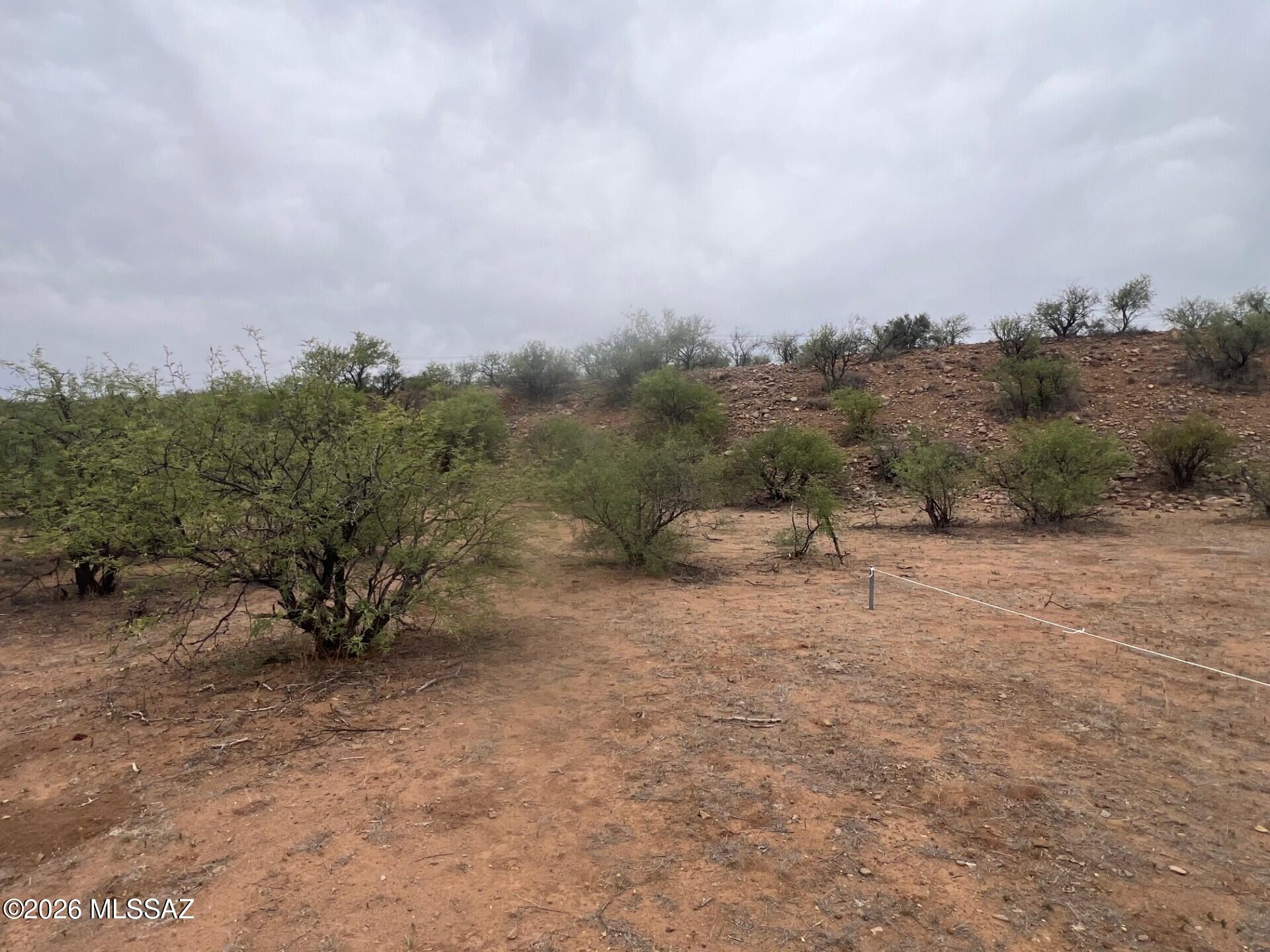 Rio Rico Estates 16 - Land