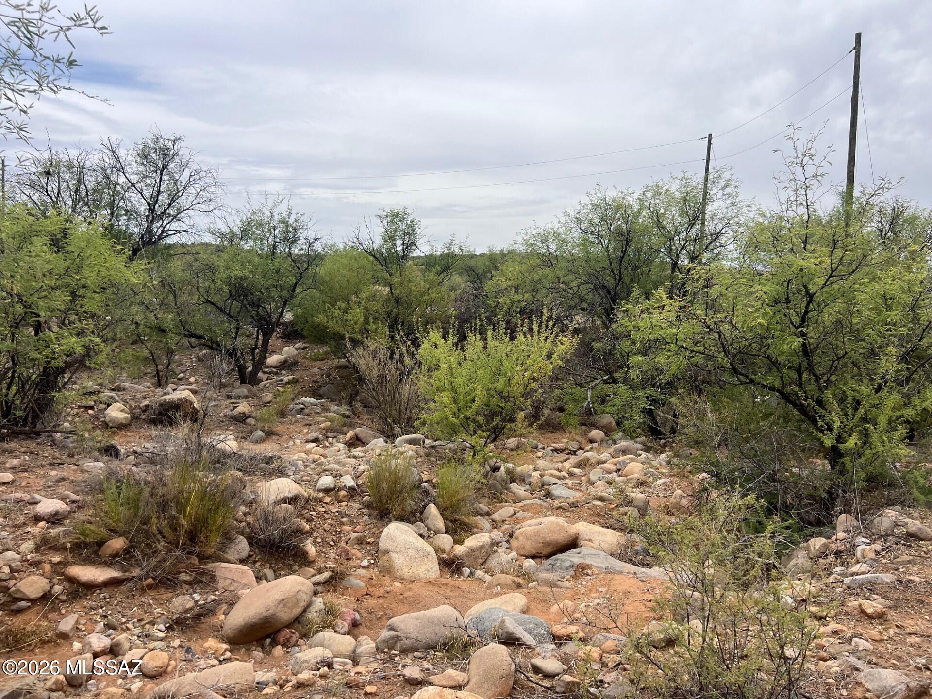 Rio Rico Estates 16 - Land