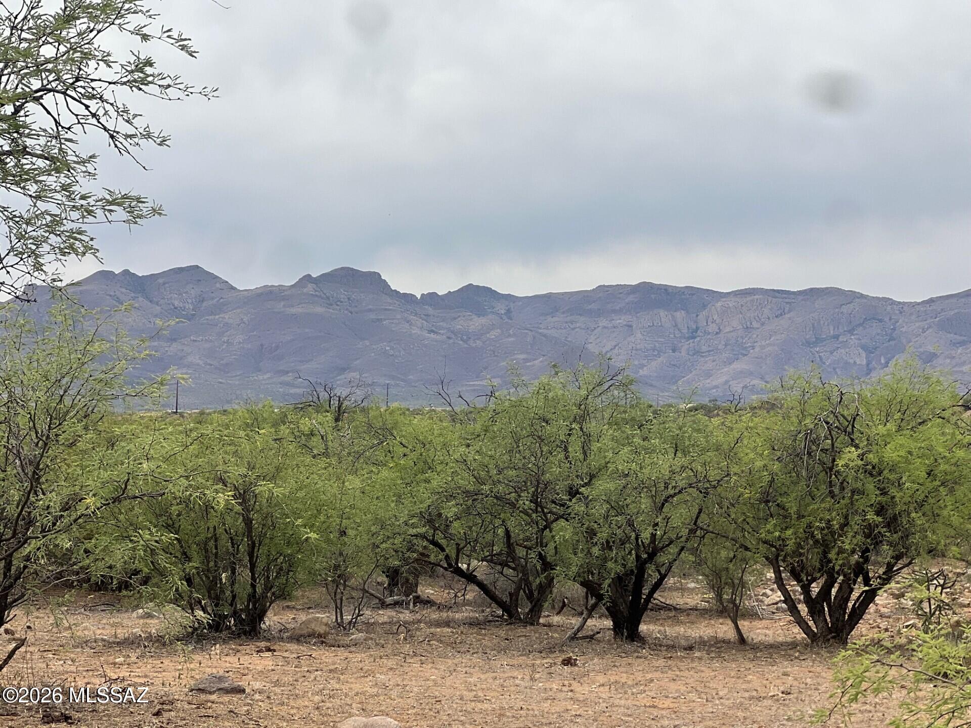 Rio Rico Estates 16 - Land