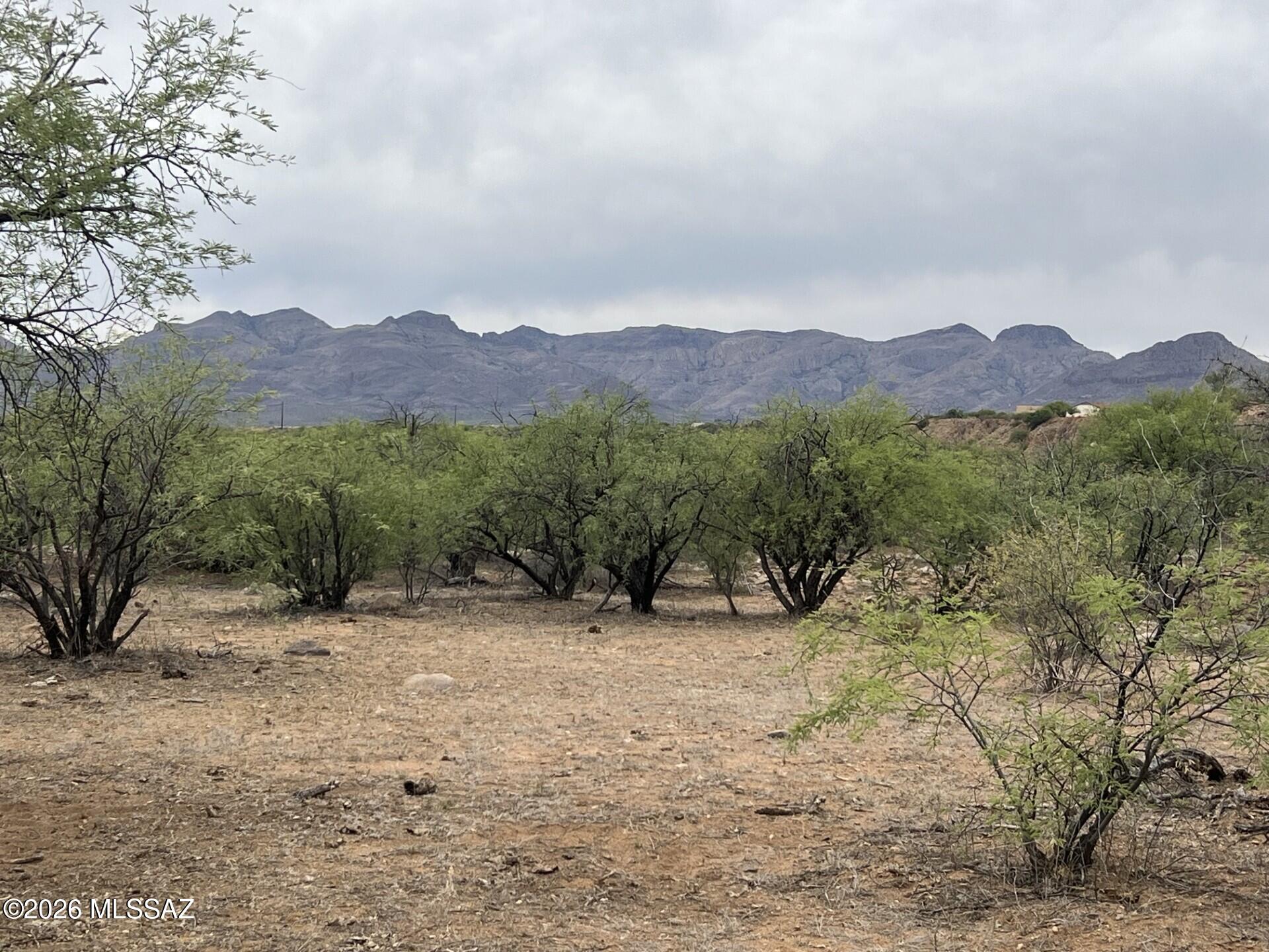 Rio Rico Estates 16 - Land