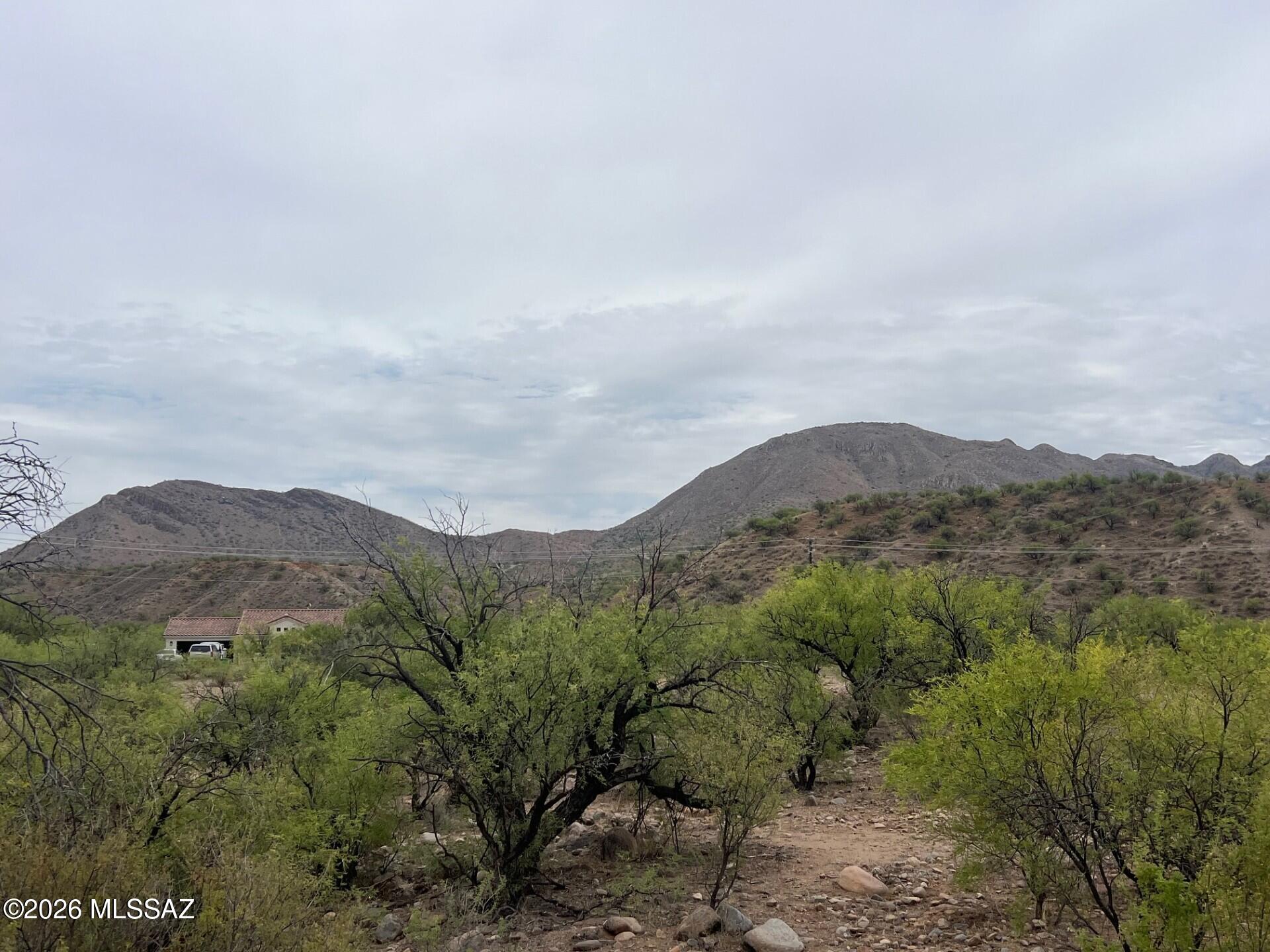 Rio Rico Estates 16 - Land