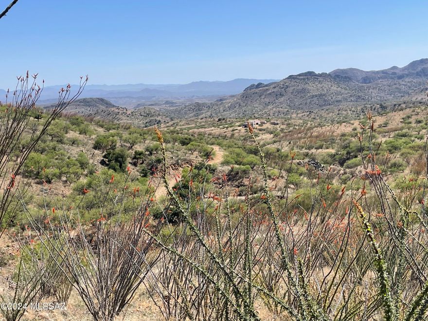 MOTIVATED SELLER!! EXCEPTIONAL SALERO RANCH VIEW LOT!! Arguable the finest views on the entire ranch from this very high set hilltop building site bordering 148,000 acres of Coronado National Forest! Extreme privacy from this 53 acre parcel at 5,000 feet elevation providing  four mild seasons! Underground electric protects the spectacular long views. The hiking, horseback riding and mountain biking are amazing. A small pond just off the parcel attracts the abundant wildlife for your enjoyment.