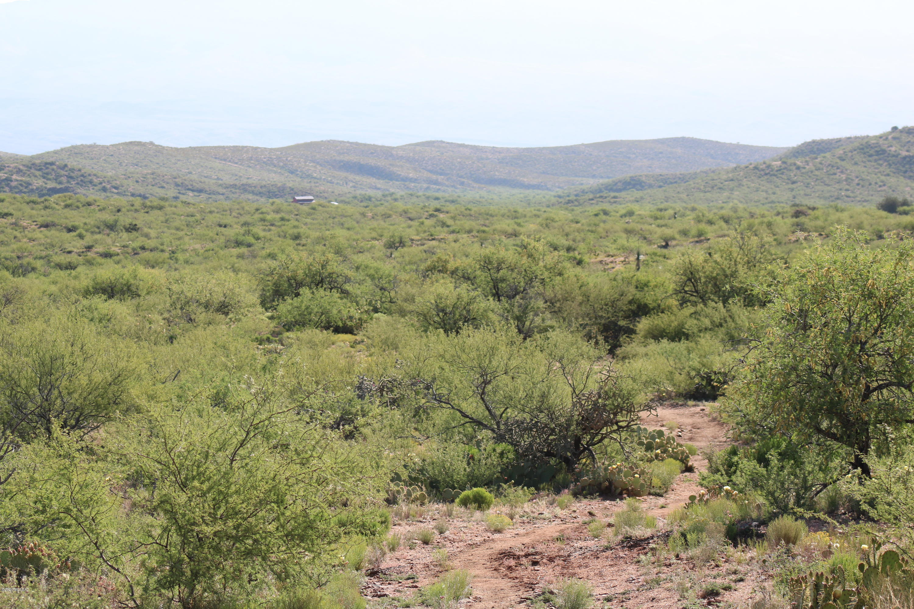 XXXX CB S Mt Lemmon Road