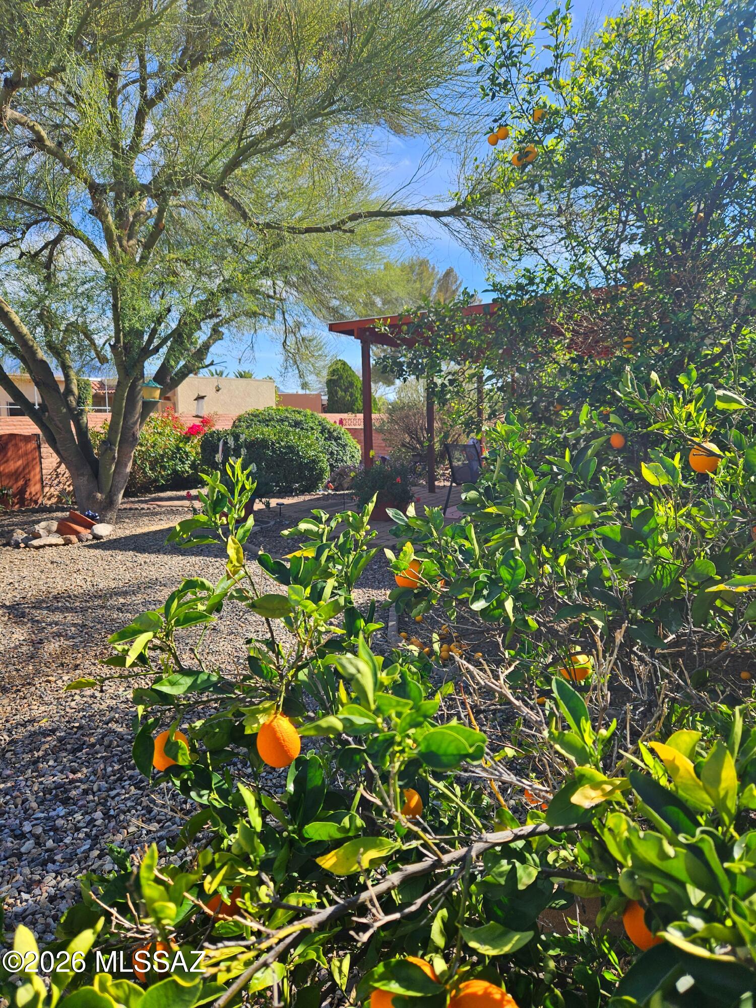 Green Valley Desert Meadows NO.3(1-223) - Residential