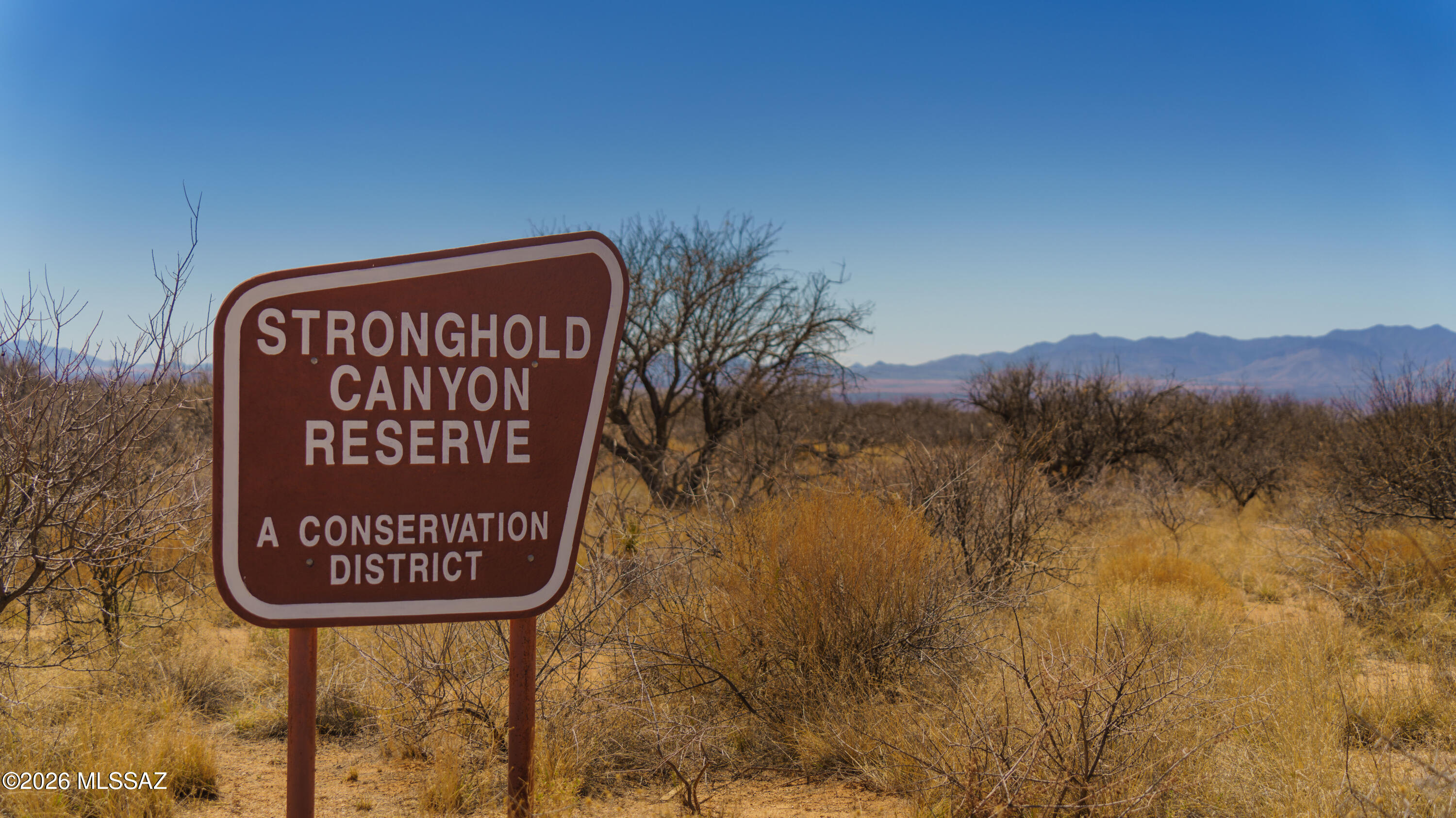 Dragoon Mountain Ranch - Land