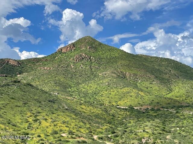 Rio Rico Ranchettes 3 - Residential