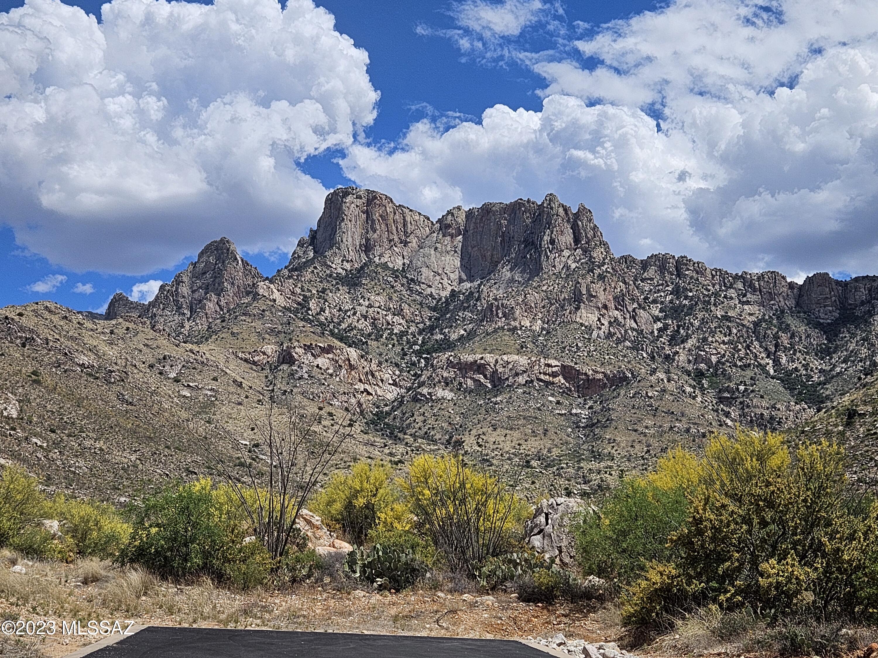 10450 N Della Cresta Court 13E