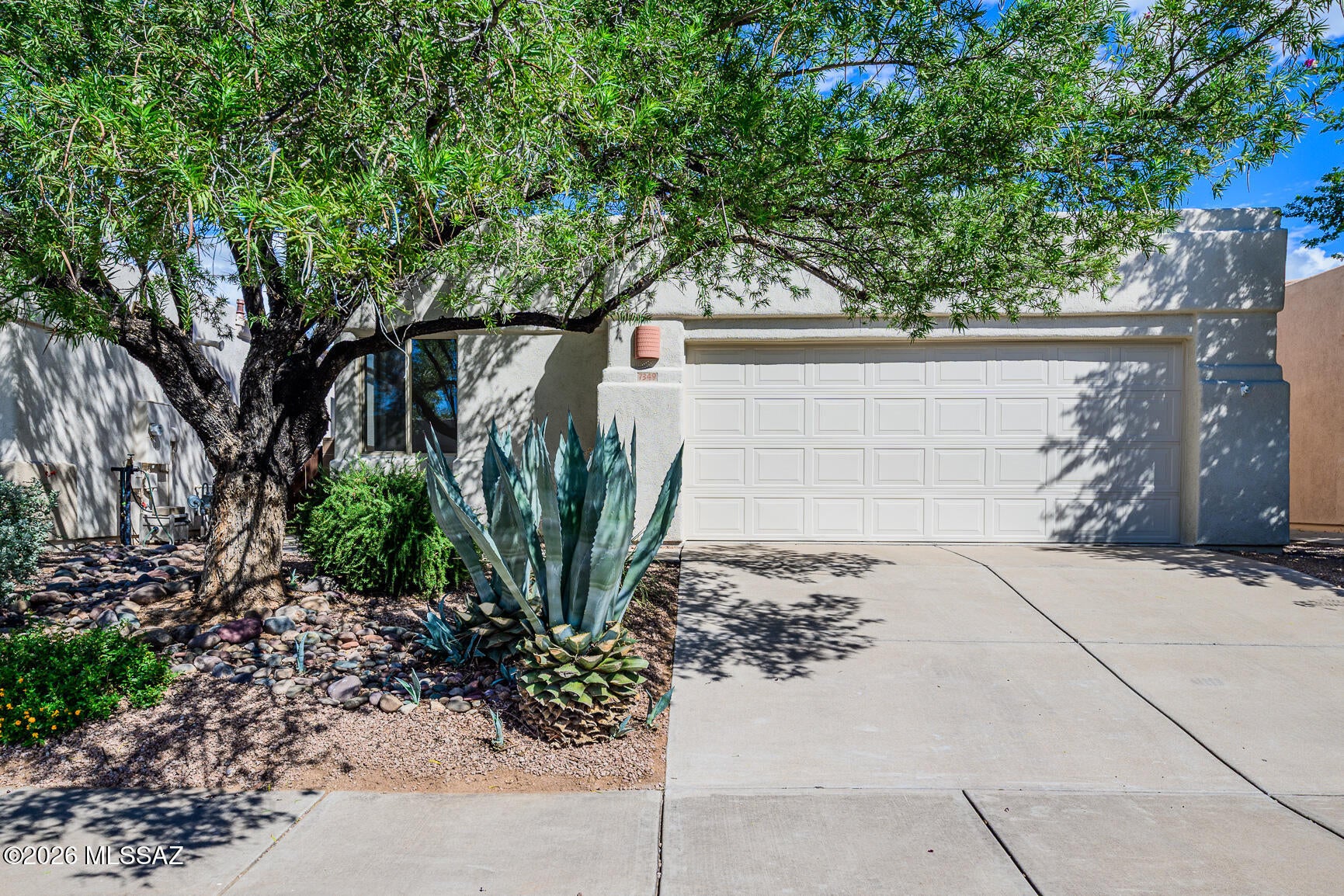 7349 E Placita De La Intriga