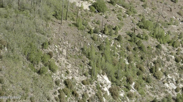 12917 N WINKELMAN AVE, MOUNT LEMMON, AZ 85619 - Image bbf4ad94a90f6ffbcc0436be3cc75ecf/2761163096