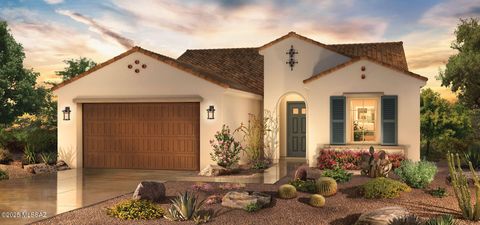 61987 E Skyview Way Oracle AZ 85623