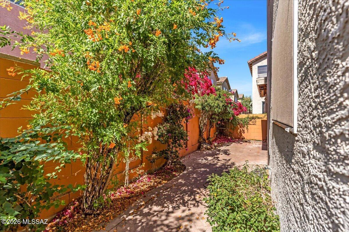 Pantano Overlook - Residential