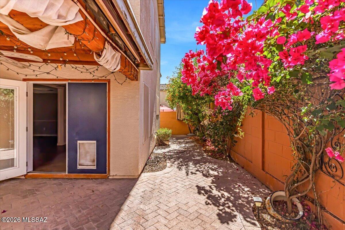 Pantano Overlook - Residential
