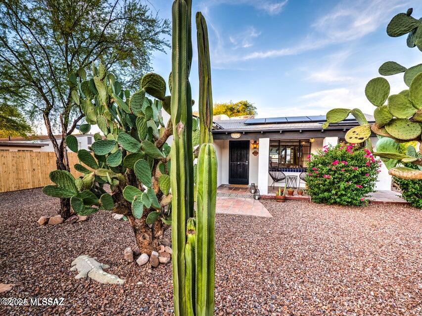 1700 N Winstel Boulevard