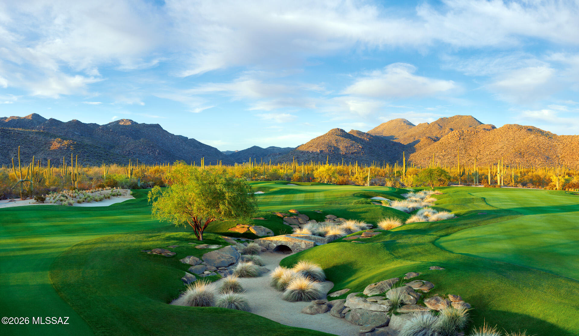 14115 N Los Saguaros Drive