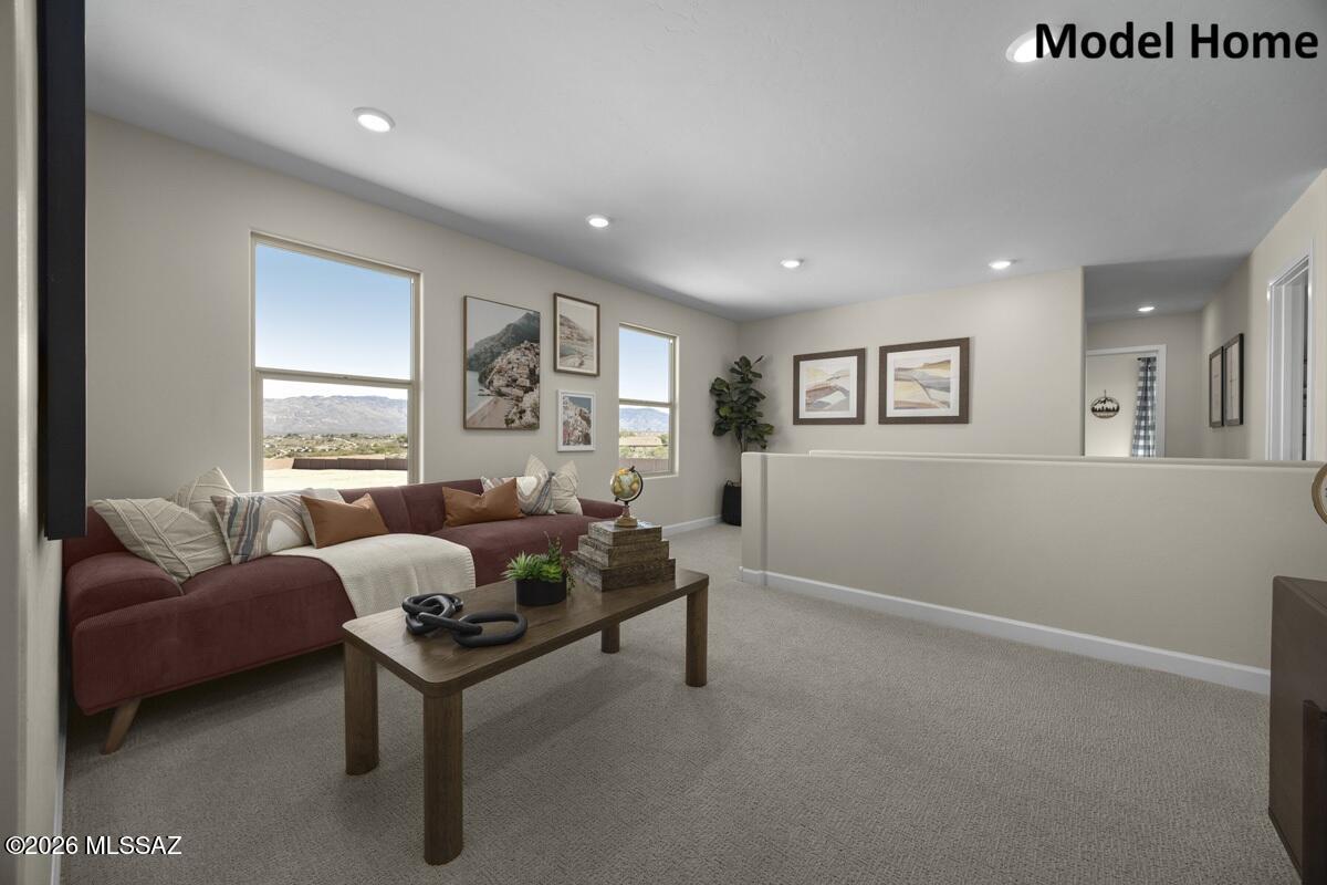 11042 S Guillermo Haro Drive