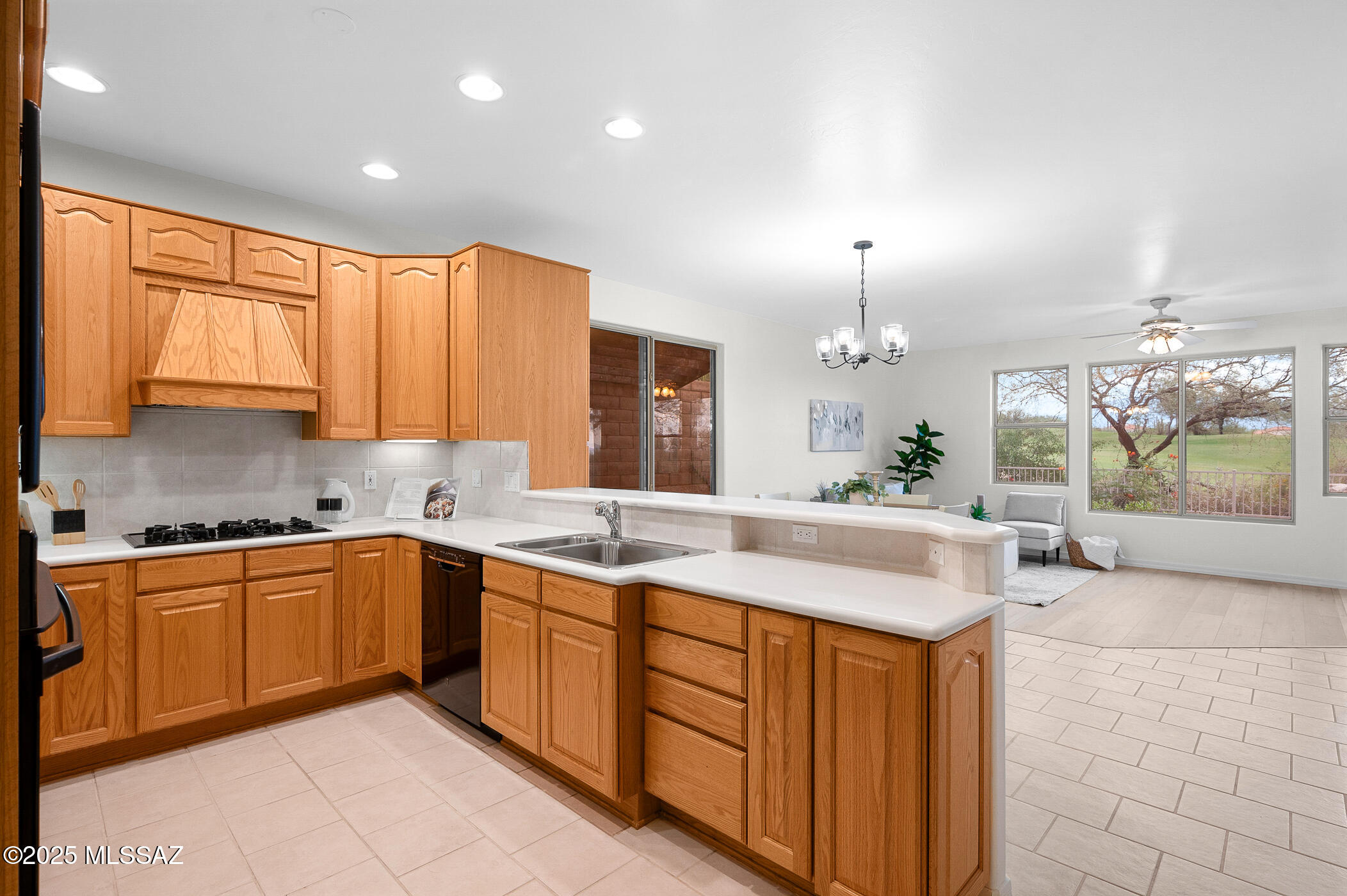 Sabino Springs (FINAL) - Residential