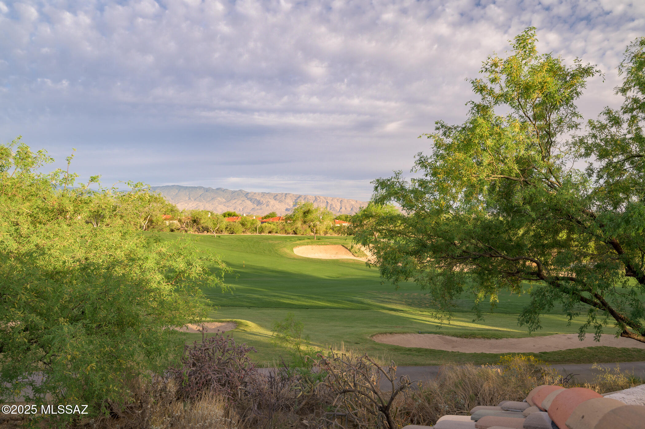 Sabino Springs (FINAL) - Residential