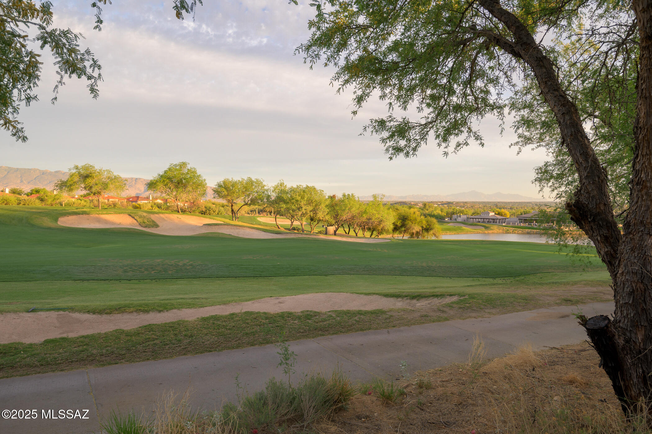 Sabino Springs (FINAL) - Residential