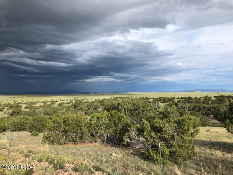 Out Of Pima County - Land
