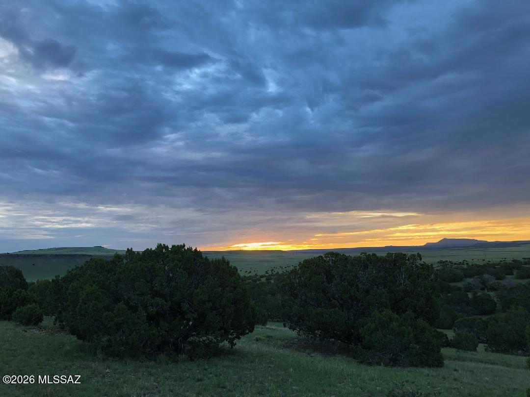 Out Of Pima County - Land