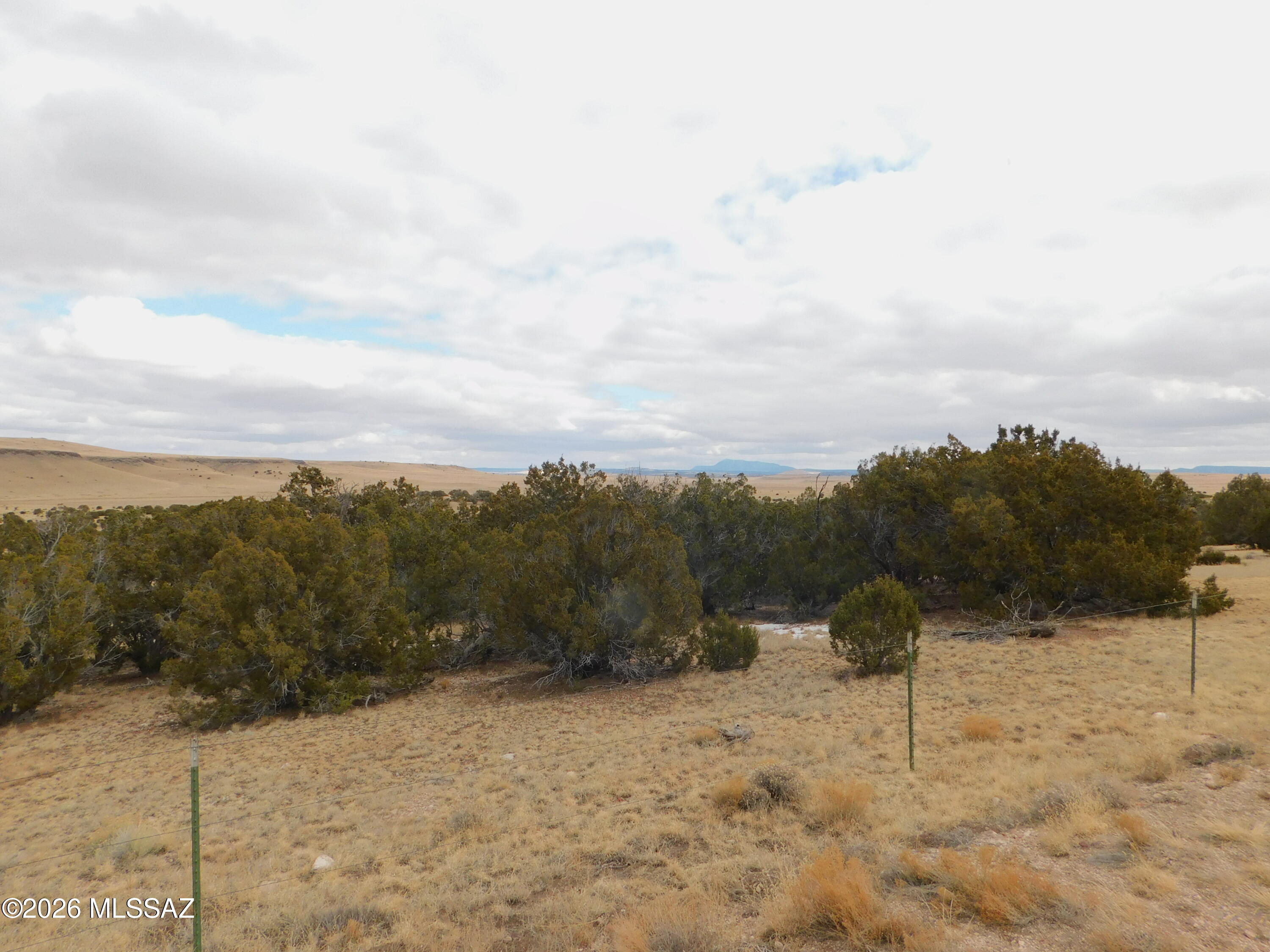 Out Of Pima County - Land