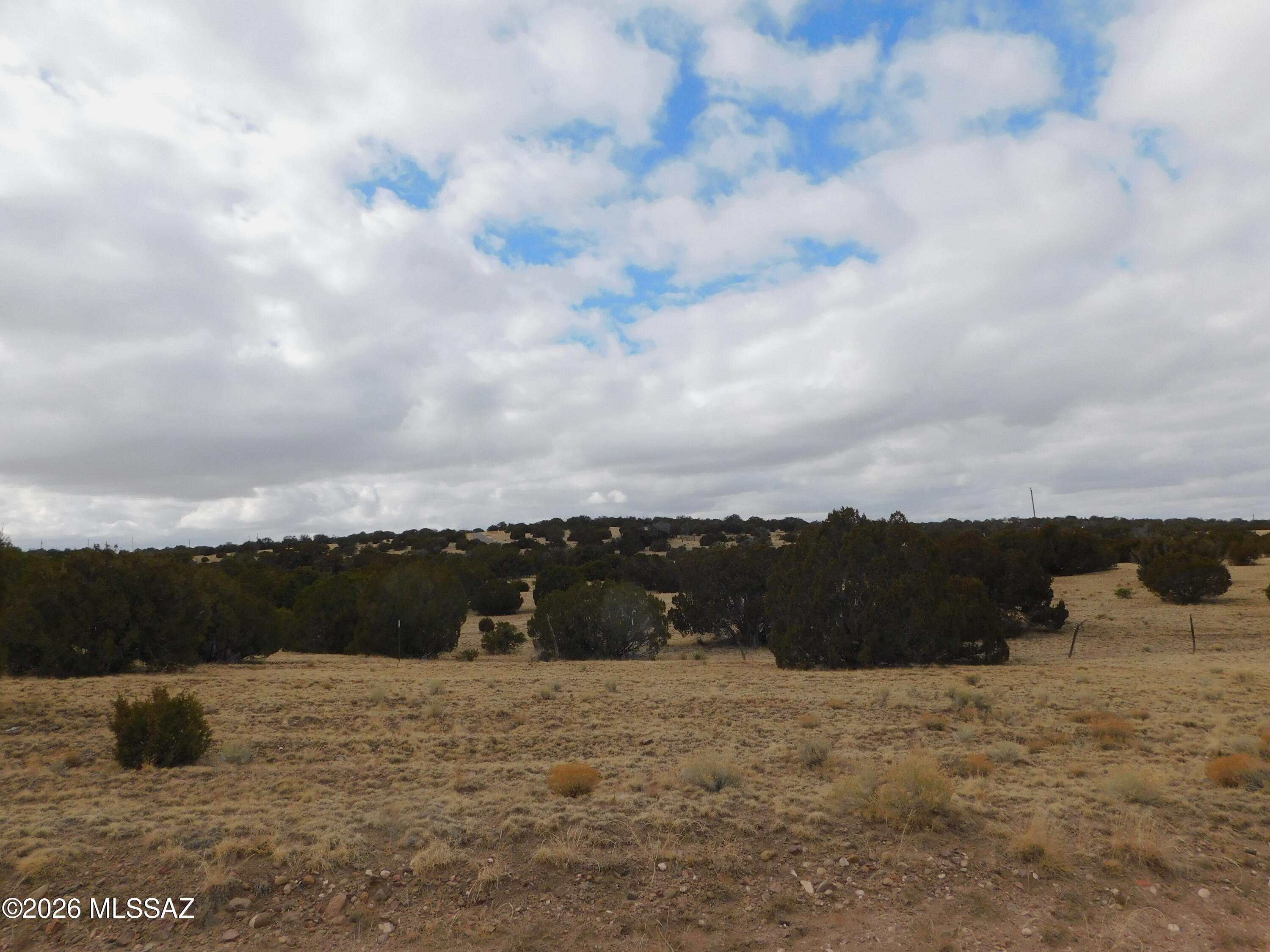 Out Of Pima County - Land