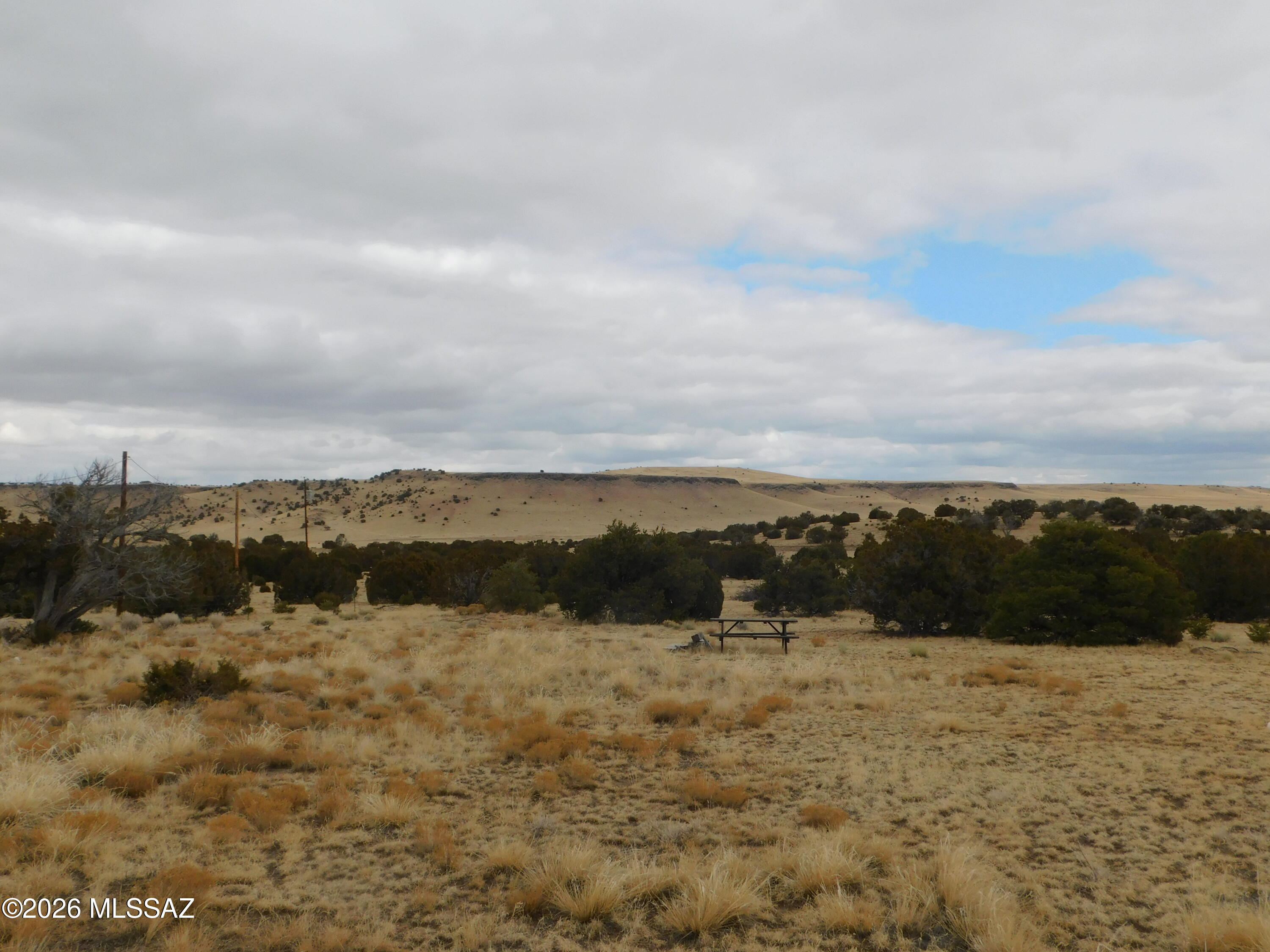 Out Of Pima County - Land