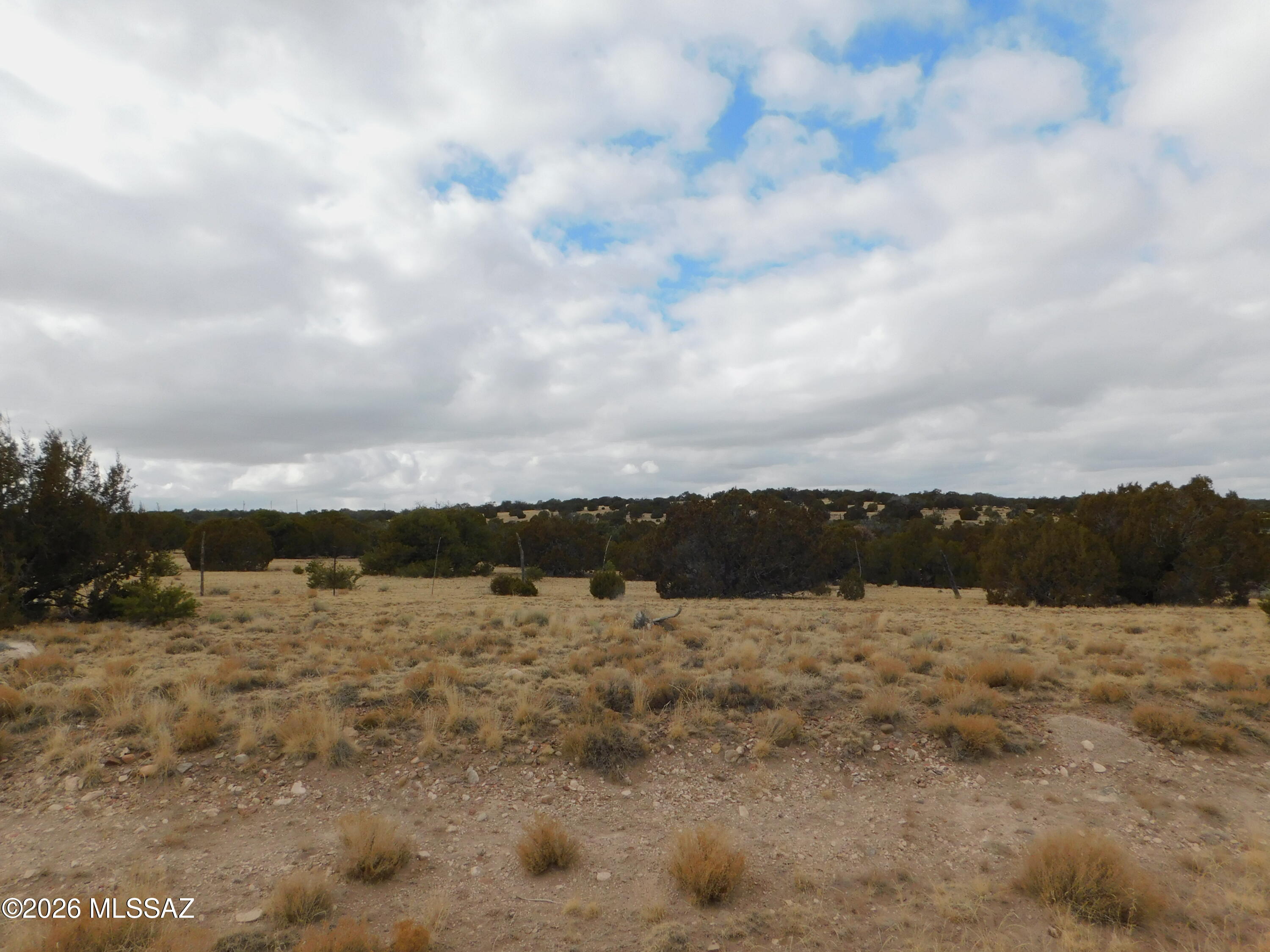 Out Of Pima County - Land