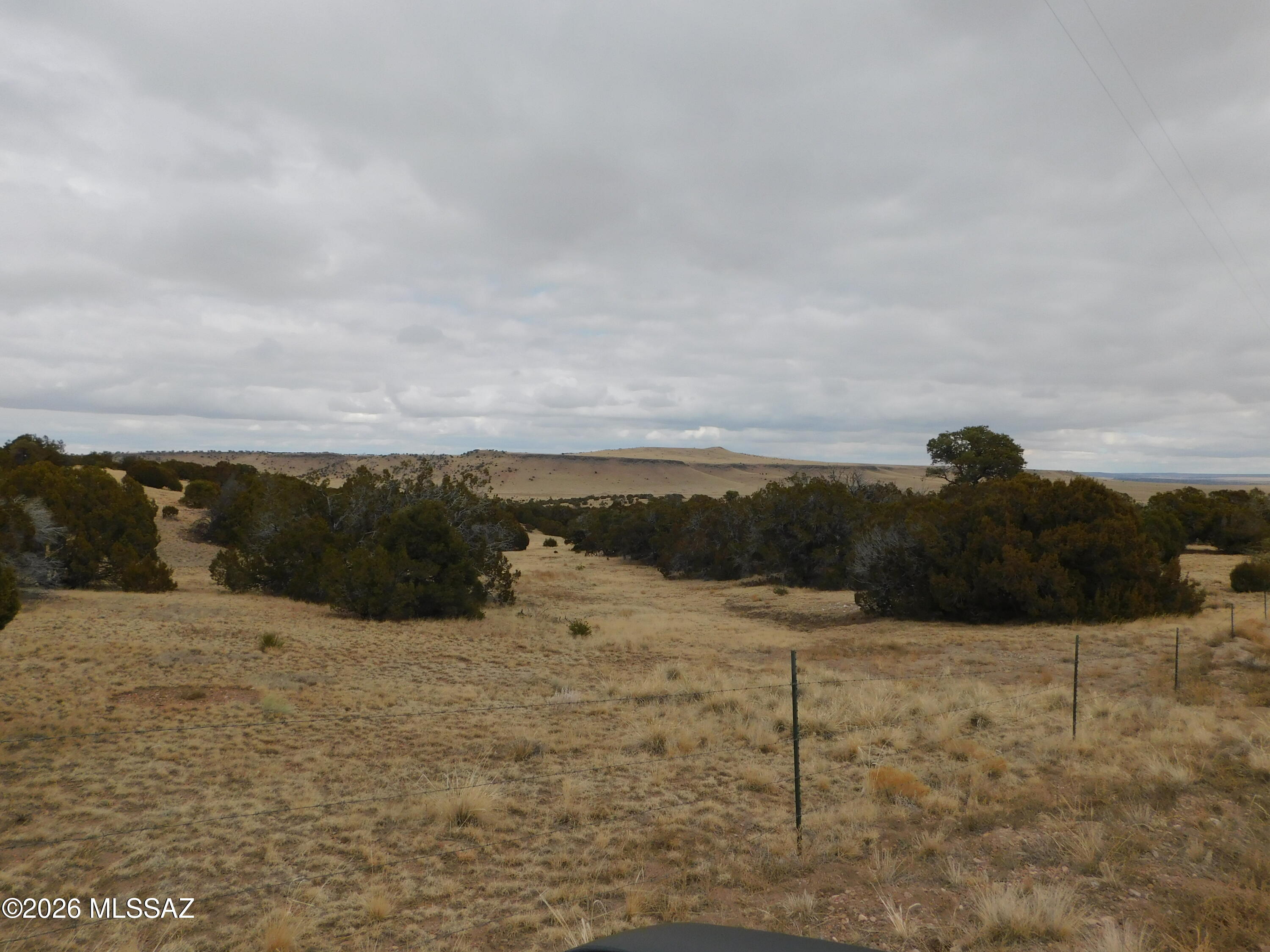 Out Of Pima County - Land