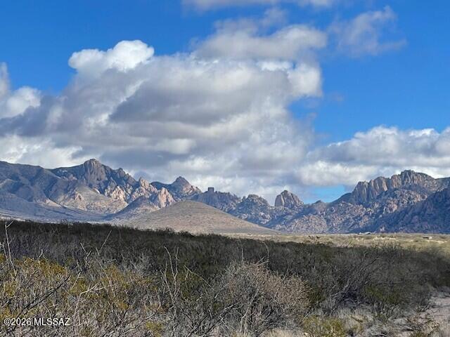 Dragoon Mountain Ranch - Land