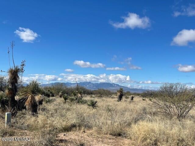 Dragoon Mountain Ranch - Land