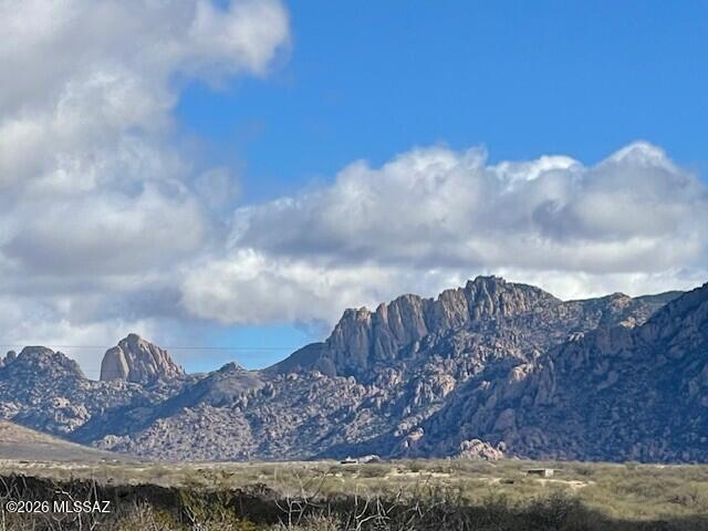 Dragoon Mountain Ranch - Land