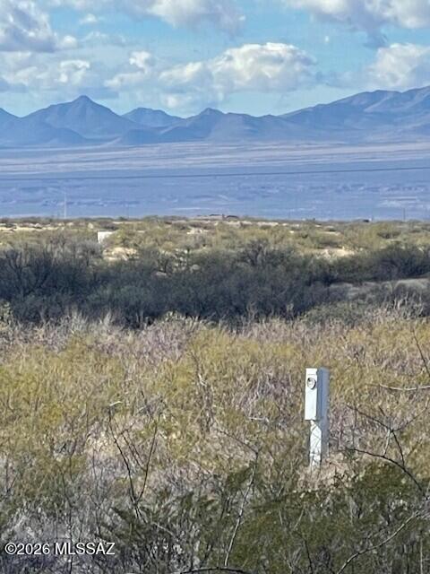 Dragoon Mountain Ranch - Land