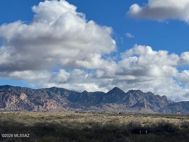 Dragoon Mountain Ranch - Land