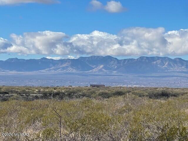 Dragoon Mountain Ranch - Land